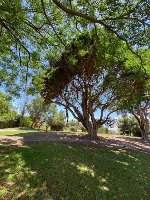 Apt Moderno Con Vistas, Recepcion 24 Hs Y Piscinas Бенальмадена Экстерьер фото